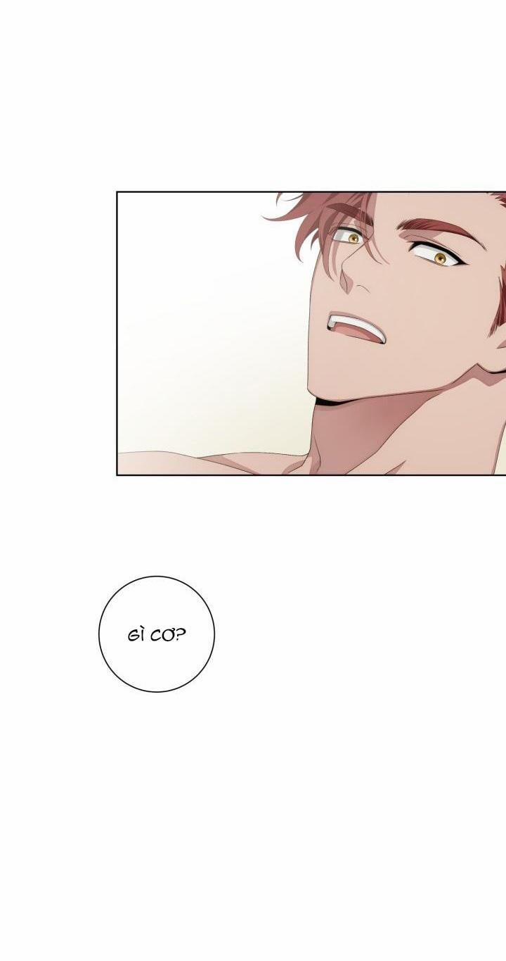 Tuyển Tập Ngực Bự Mlem - BDSM Của Nhà Kim 156.4 trang 40