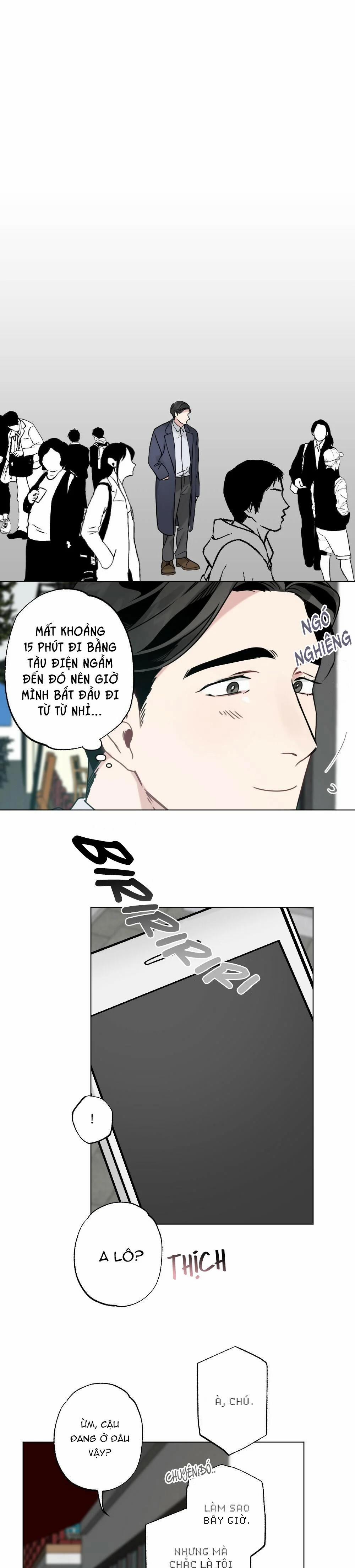 Tuyển Tập Ngực Bự Mlem - BDSM Của Nhà Kim 160.6 trang 0