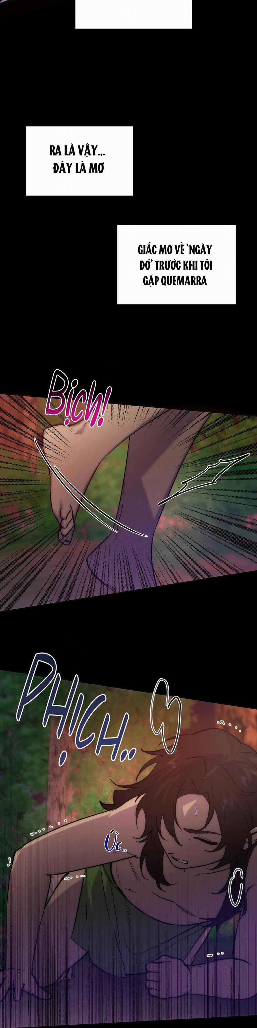 Tuyển Tập Ngực Bự Mlem - BDSM Của Nhà Kim 161.5 trang 8