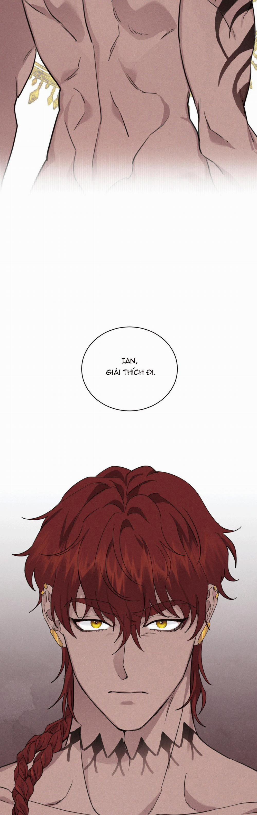 Tuyển Tập Ngực Bự Mlem - BDSM Của Nhà Kim 162.1 trang 3