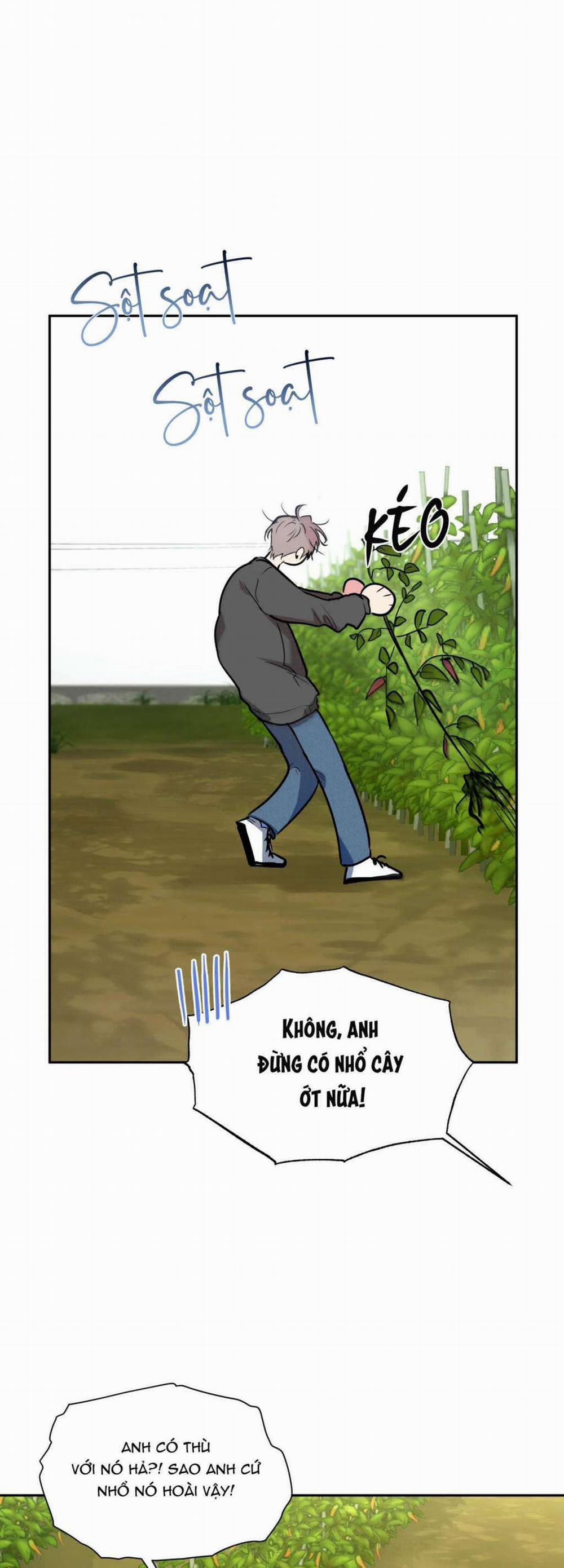 Tuyển Tập Ngực Bự Mlem - BDSM Của Nhà Kim 164.4 trang 12