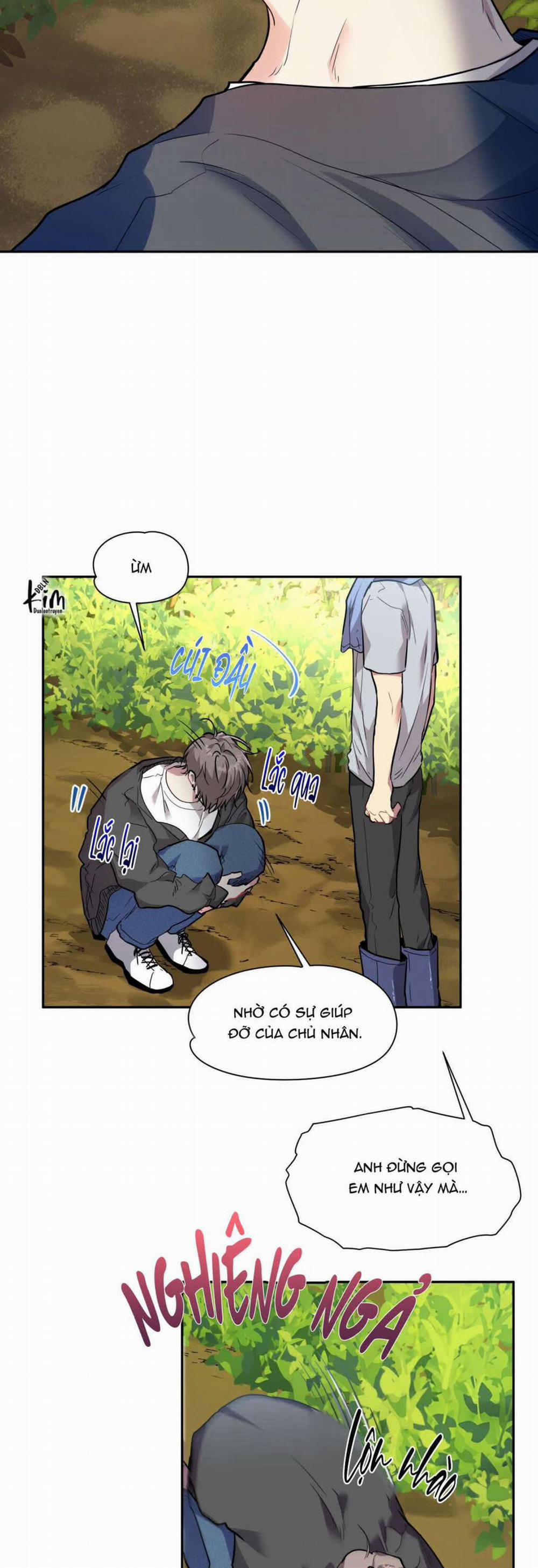 Tuyển Tập Ngực Bự Mlem - BDSM Của Nhà Kim 164.4 trang 3