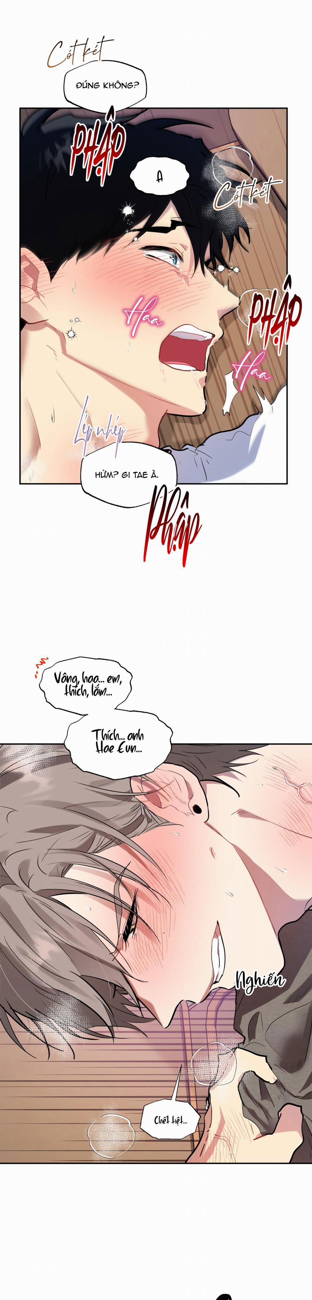 Tuyển Tập Ngực Bự Mlem - BDSM Của Nhà Kim 164.6 trang 7