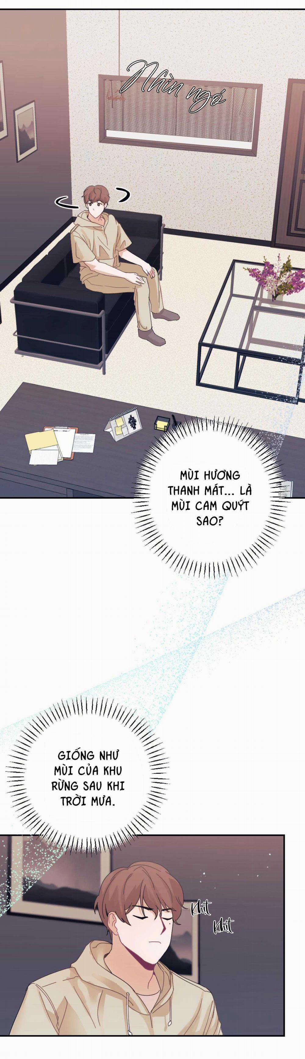 Tuyển Tập Ngực Bự Mlem - BDSM Của Nhà Kim 172.2 trang 1