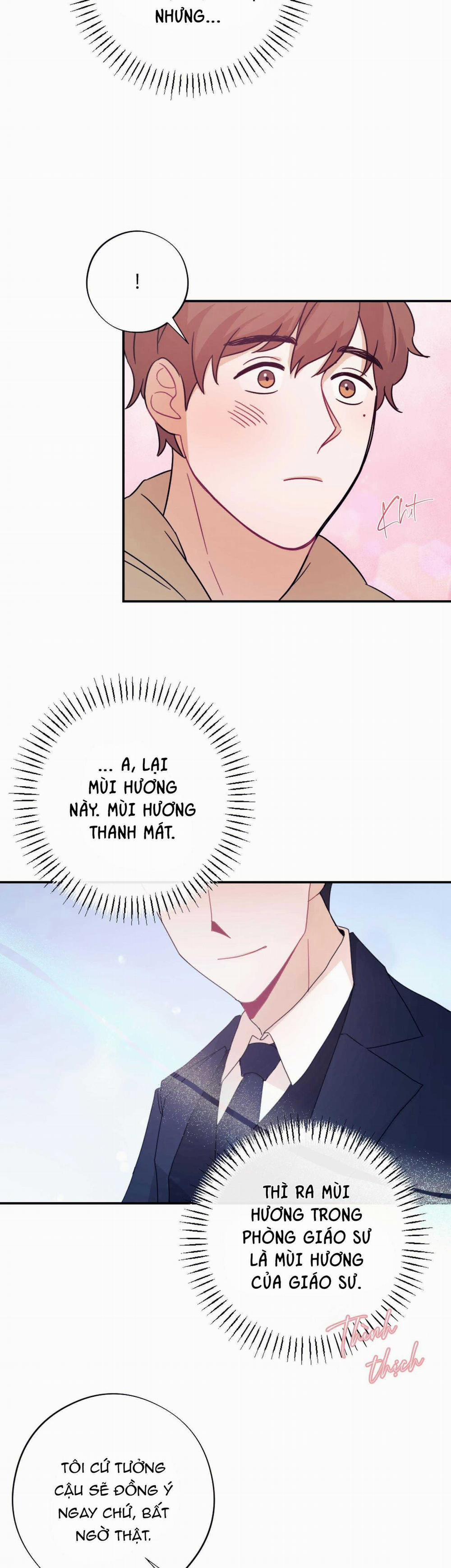 Tuyển Tập Ngực Bự Mlem - BDSM Của Nhà Kim 172.2 trang 10