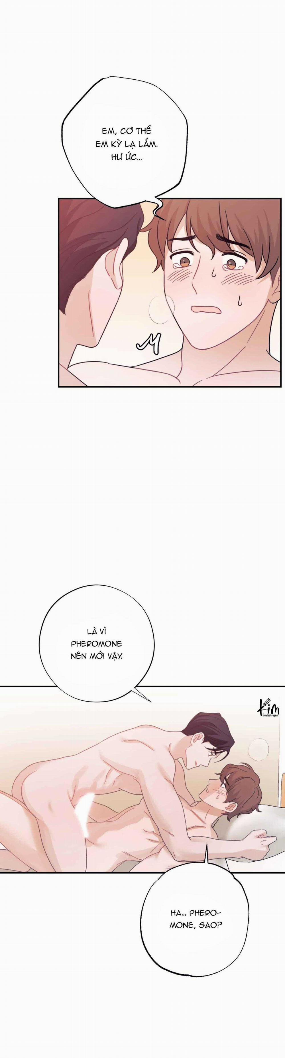 Tuyển Tập Ngực Bự Mlem - BDSM Của Nhà Kim 172.4 trang 1