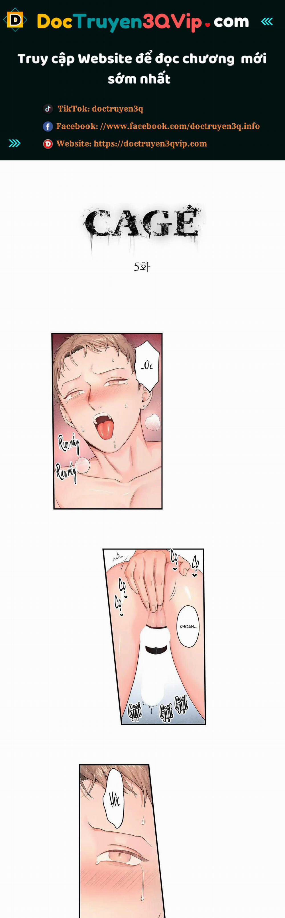 Tuyển Tập Ngực Bự Mlem - BDSM Của Nhà Kim 174.5 trang 0