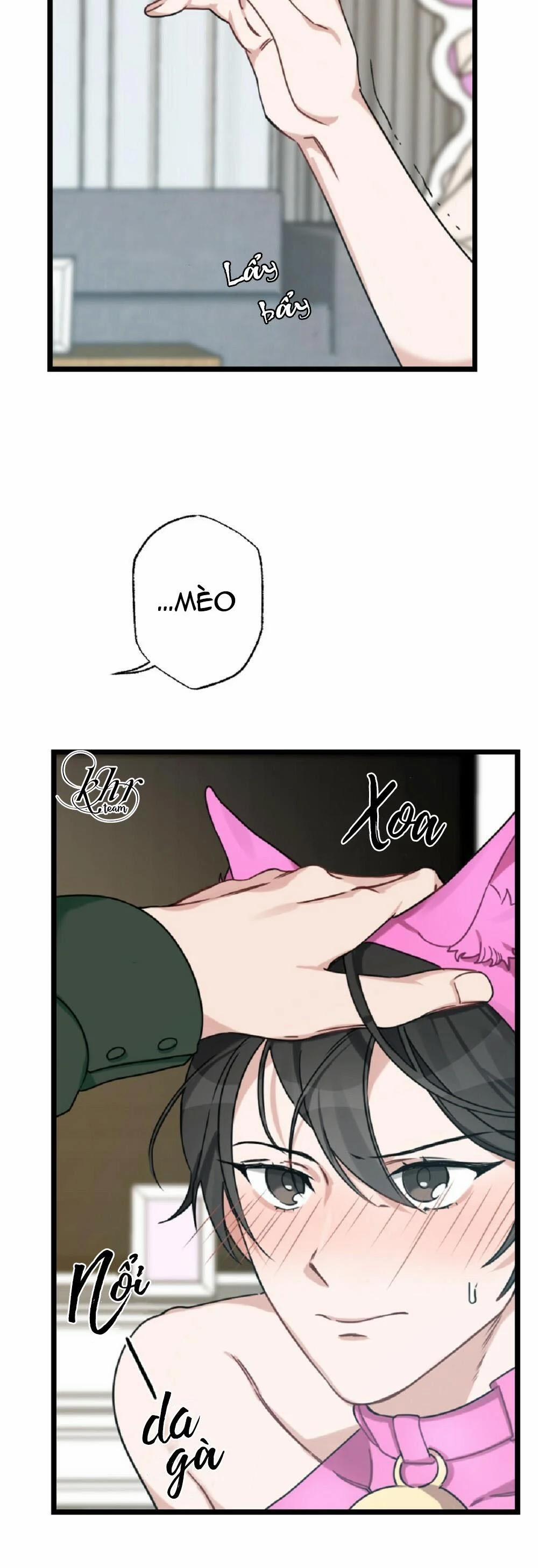 Tuyển Tập Ngực Bự Mlem - BDSM Của Nhà Kim 24 trang 15