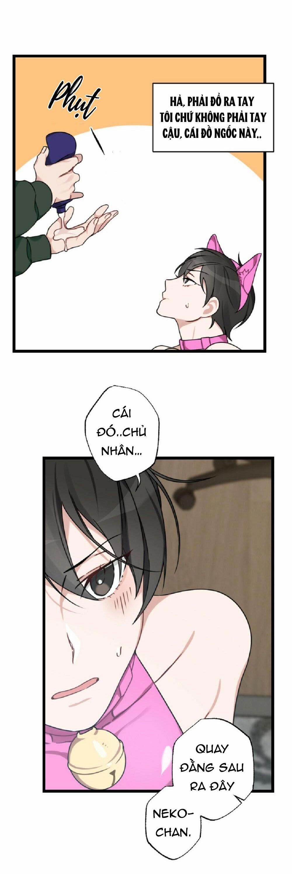 Tuyển Tập Ngực Bự Mlem - BDSM Của Nhà Kim 24 trang 19