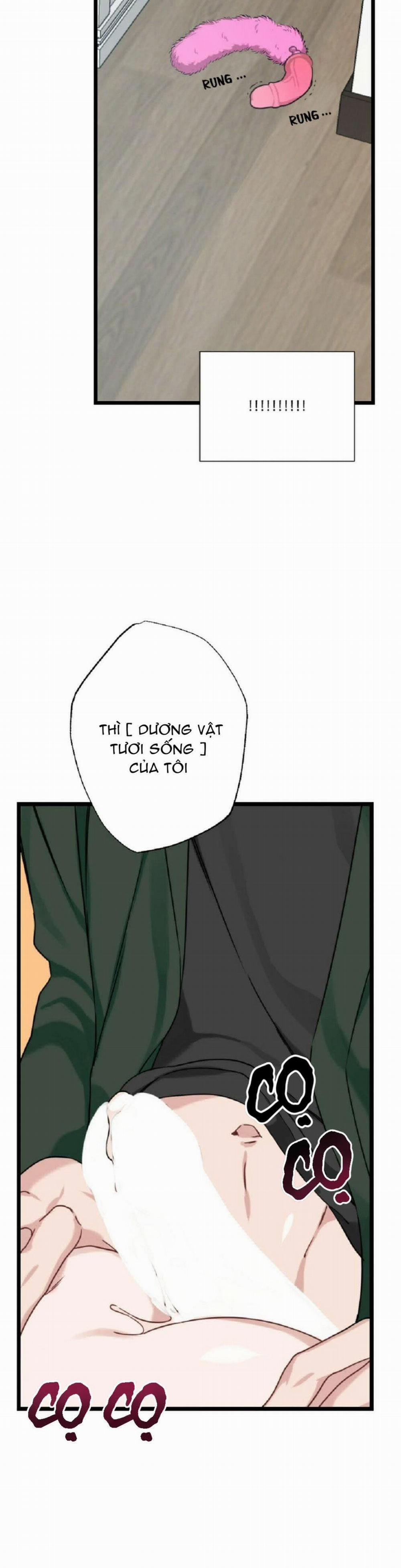 Tuyển Tập Ngực Bự Mlem - BDSM Của Nhà Kim 25 trang 3