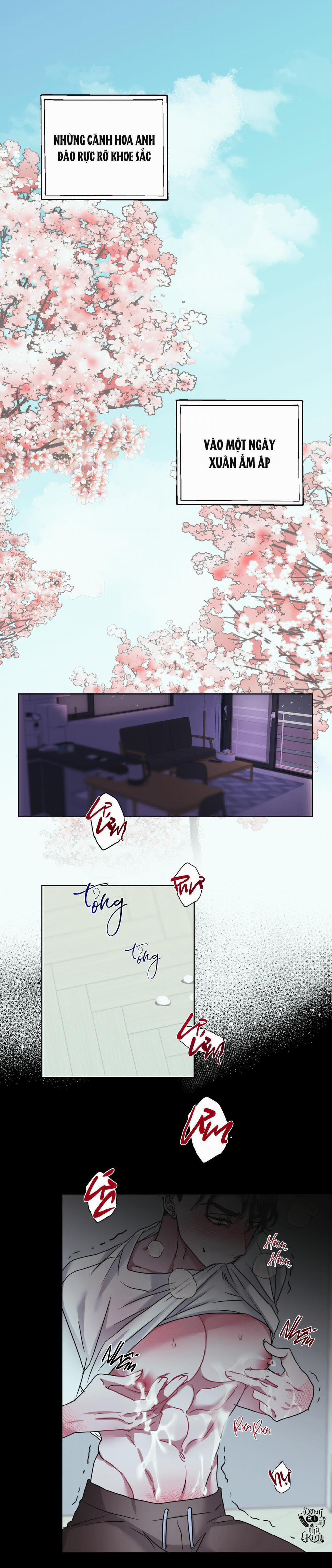 Tuyển Tập Ngực Bự Mlem - BDSM Của Nhà Kim 26 trang 0