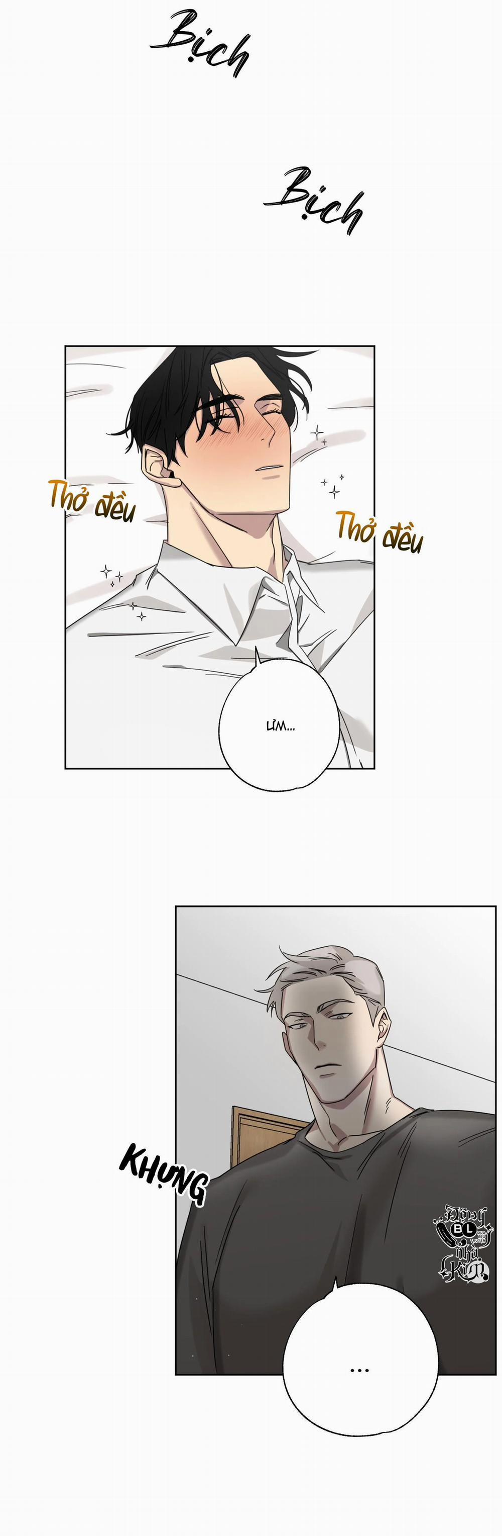 Tuyển Tập Ngực Bự Mlem - BDSM Của Nhà Kim 48 trang 15