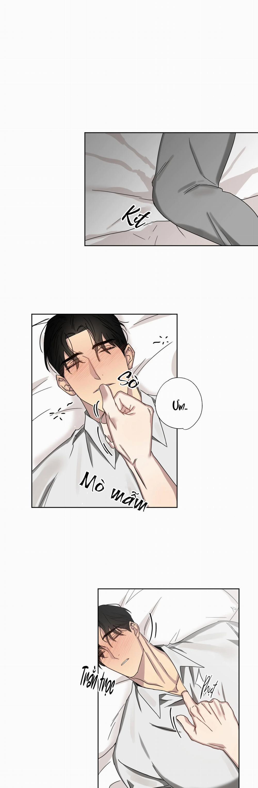 Tuyển Tập Ngực Bự Mlem - BDSM Của Nhà Kim 48 trang 16