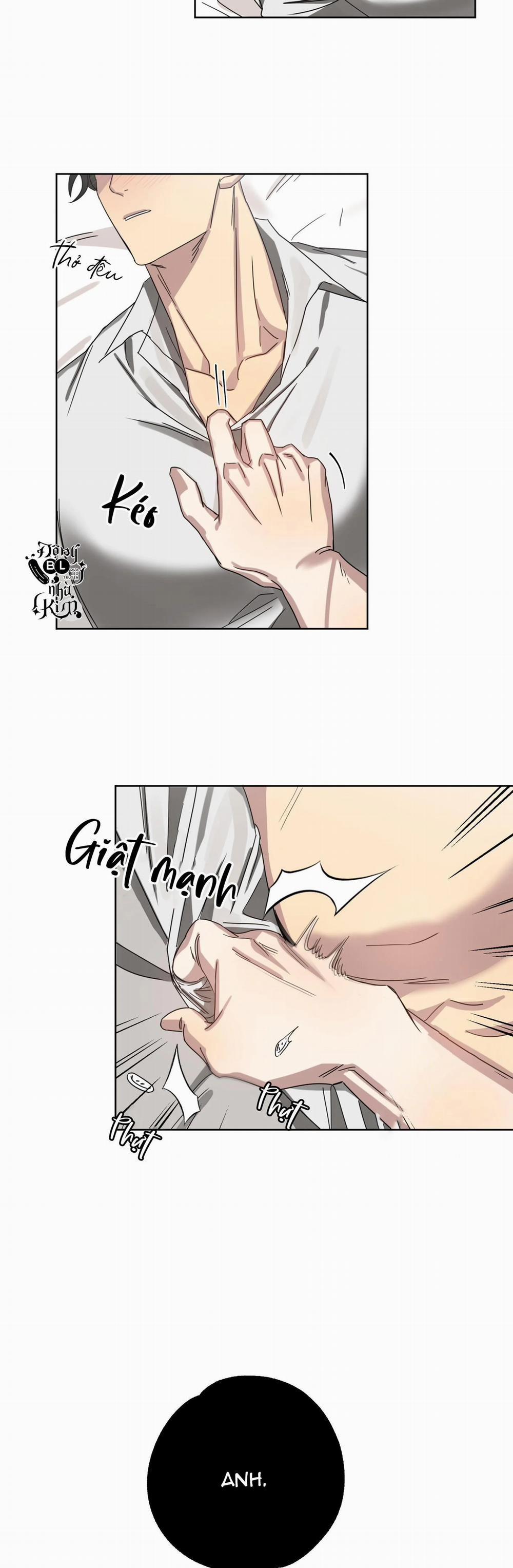 Tuyển Tập Ngực Bự Mlem - BDSM Của Nhà Kim 48 trang 17