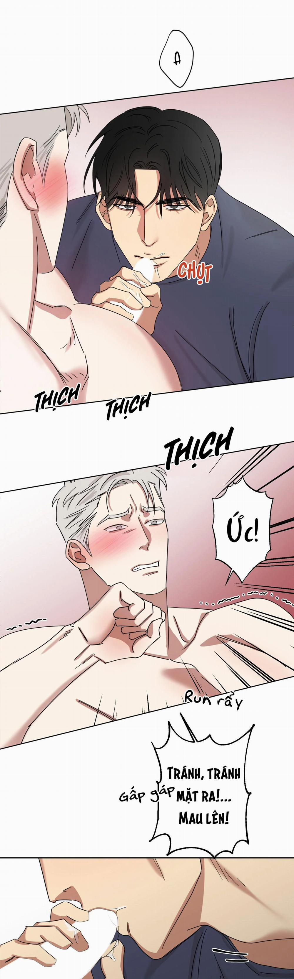 Tuyển Tập Ngực Bự Mlem - BDSM Của Nhà Kim 54 trang 17