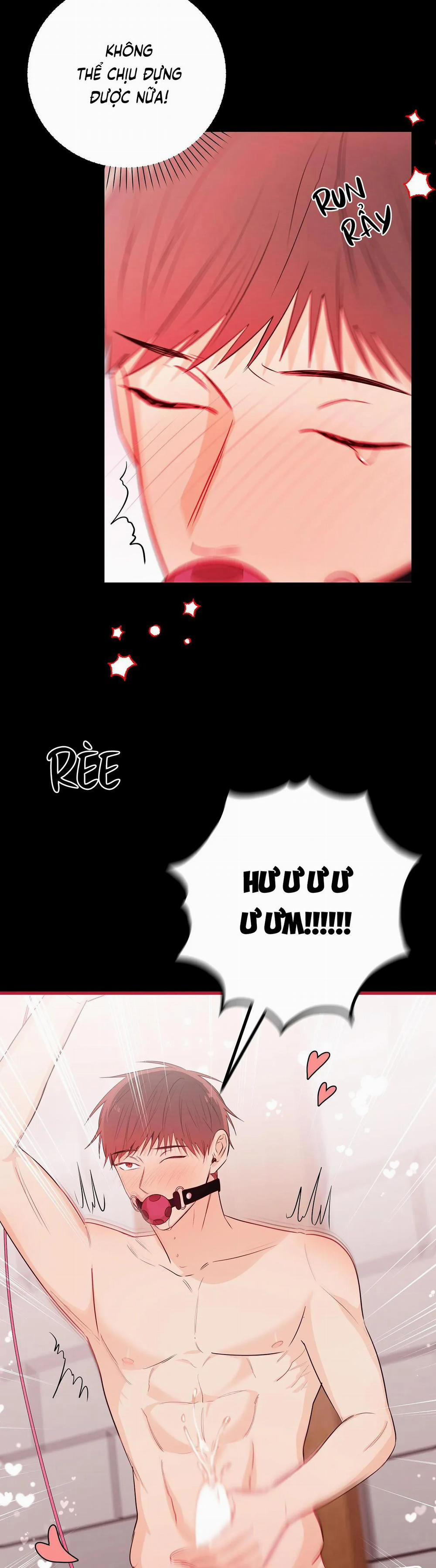 Tuyển Tập Ngực Bự Mlem - BDSM Của Nhà Kim 66 trang 14