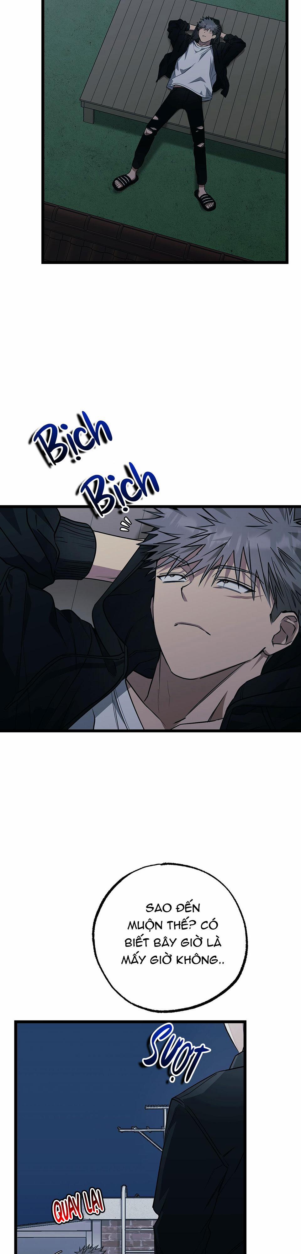 Tuyển Tập Ngực Bự Mlem - BDSM Của Nhà Kim 89 trang 1