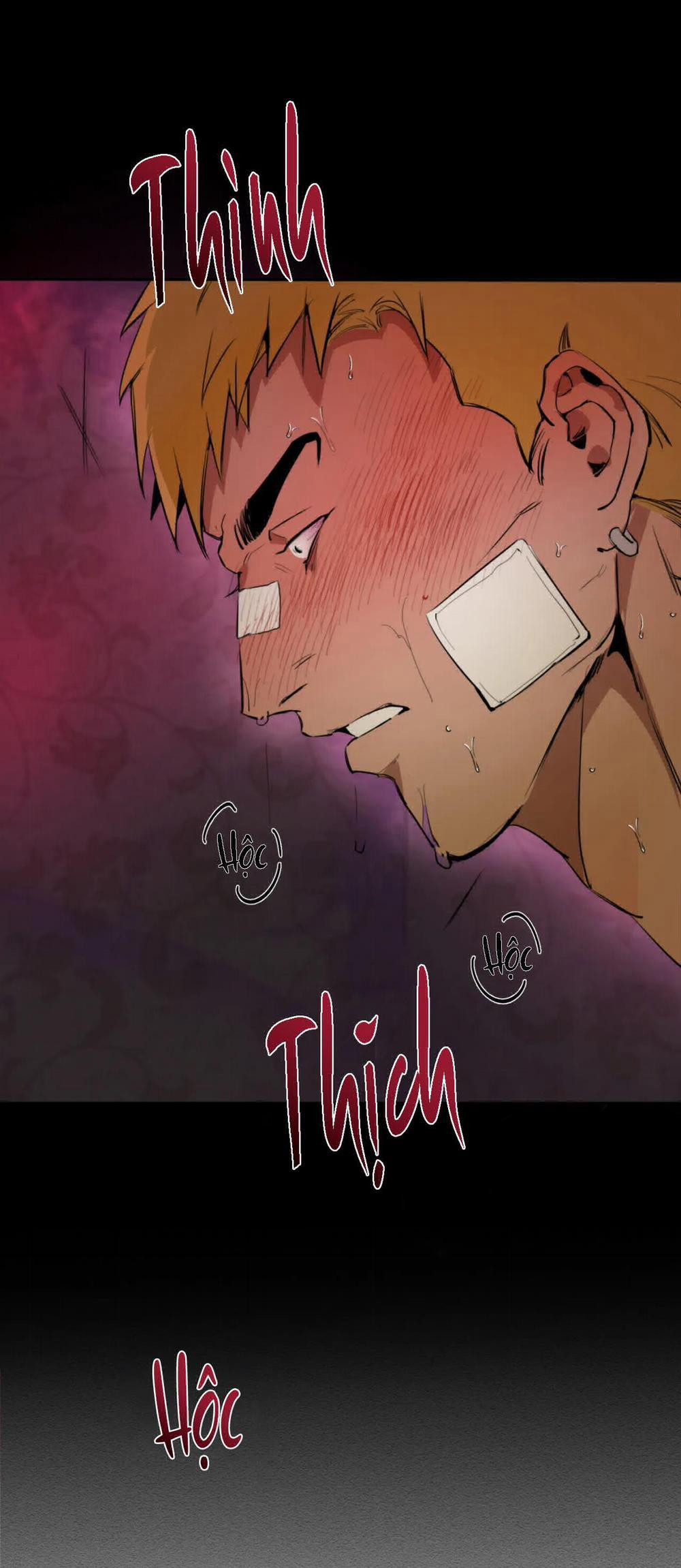 Tuyển Tập Ngực Bự Mlem - BDSM Của Nhà Kim 92 trang 12