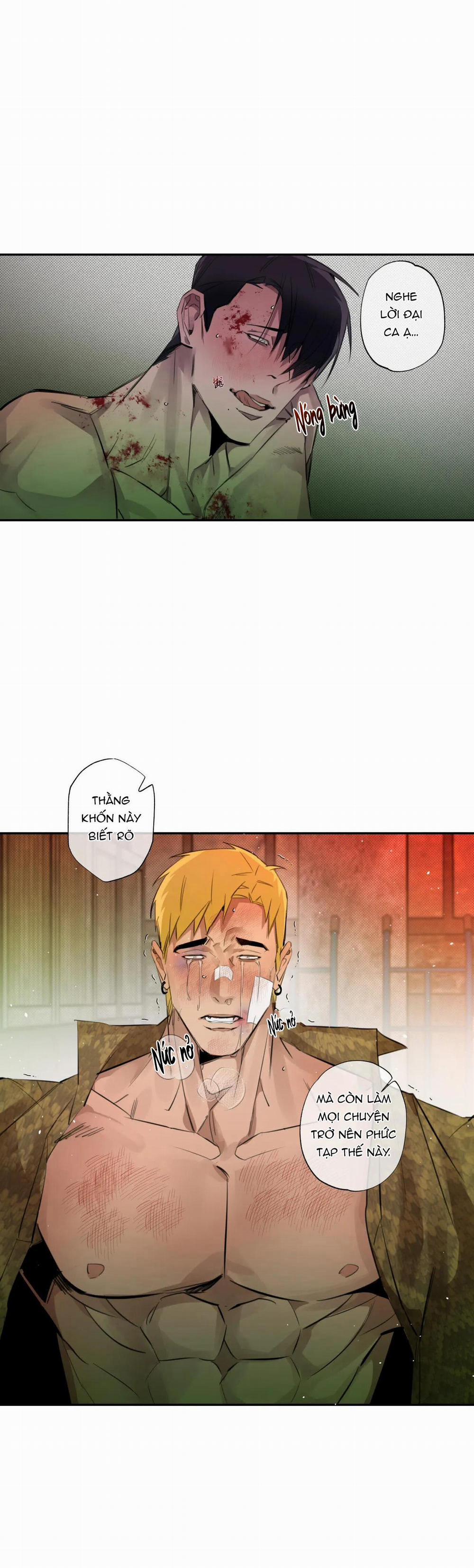 Tuyển Tập Ngực Bự Mlem - BDSM Của Nhà Kim 94 trang 16