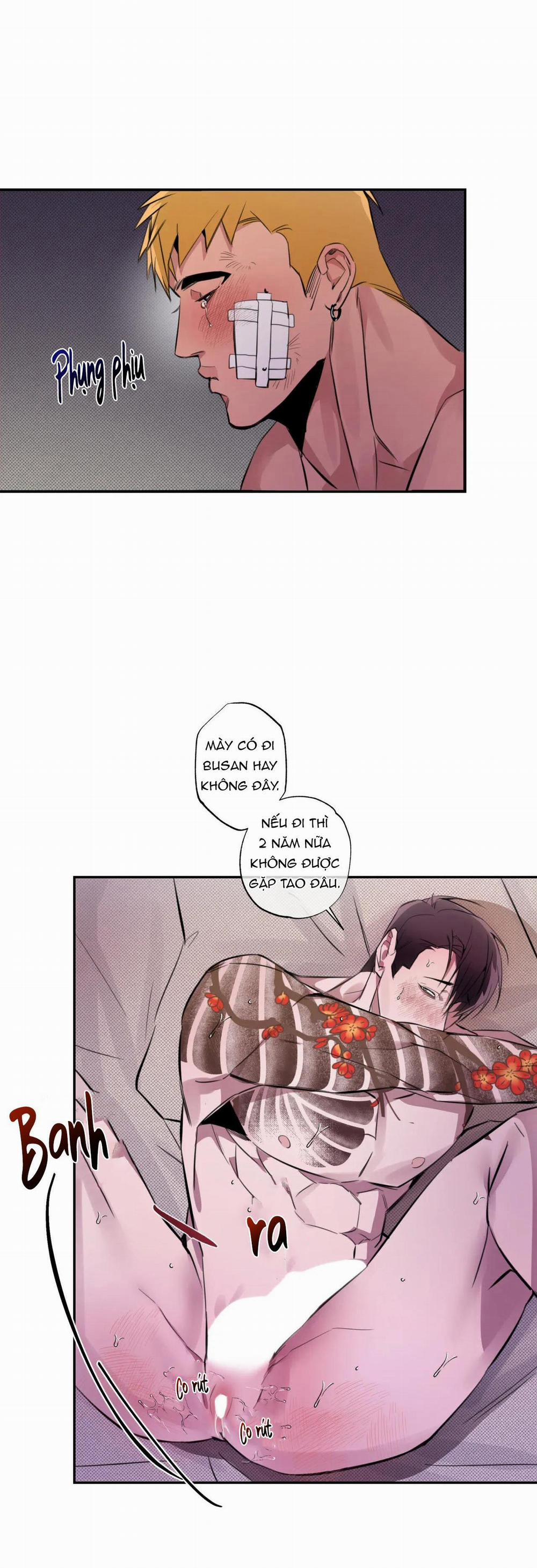 Tuyển Tập Ngực Bự Mlem - BDSM Của Nhà Kim 94 trang 30