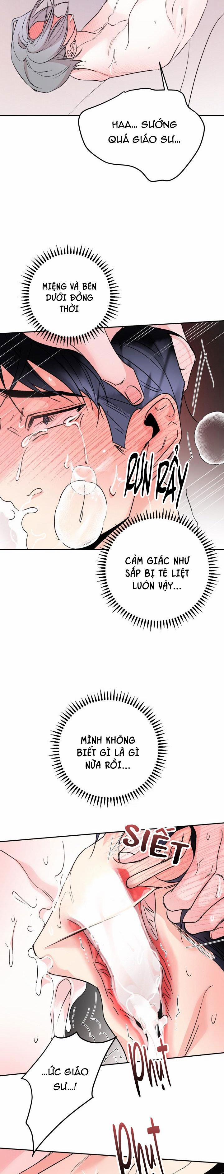 TUYỂN TẬP NHẤT THỤ ĐA CÔNG CỦA NHÀ KIM 26.5 nguồn gốc 5 trang 26