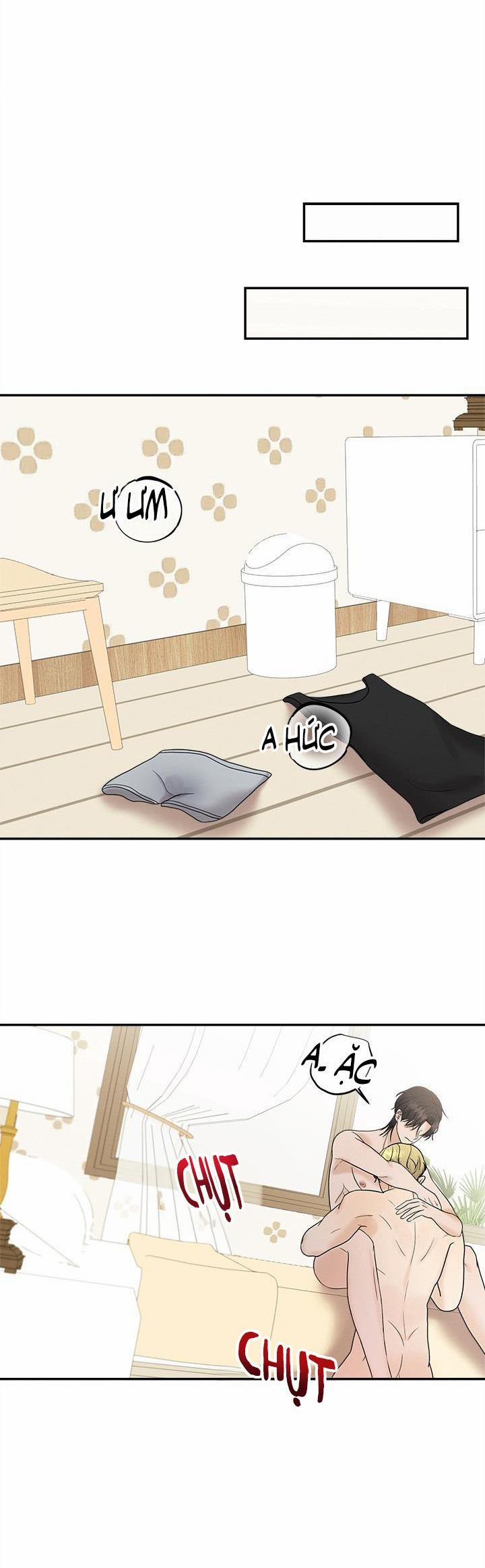 TUYỂN TẬP NHẤT THỤ ĐA CÔNG CỦA NHÀ KIM 29.2 Chỉ 1 ngày 2 trang 15