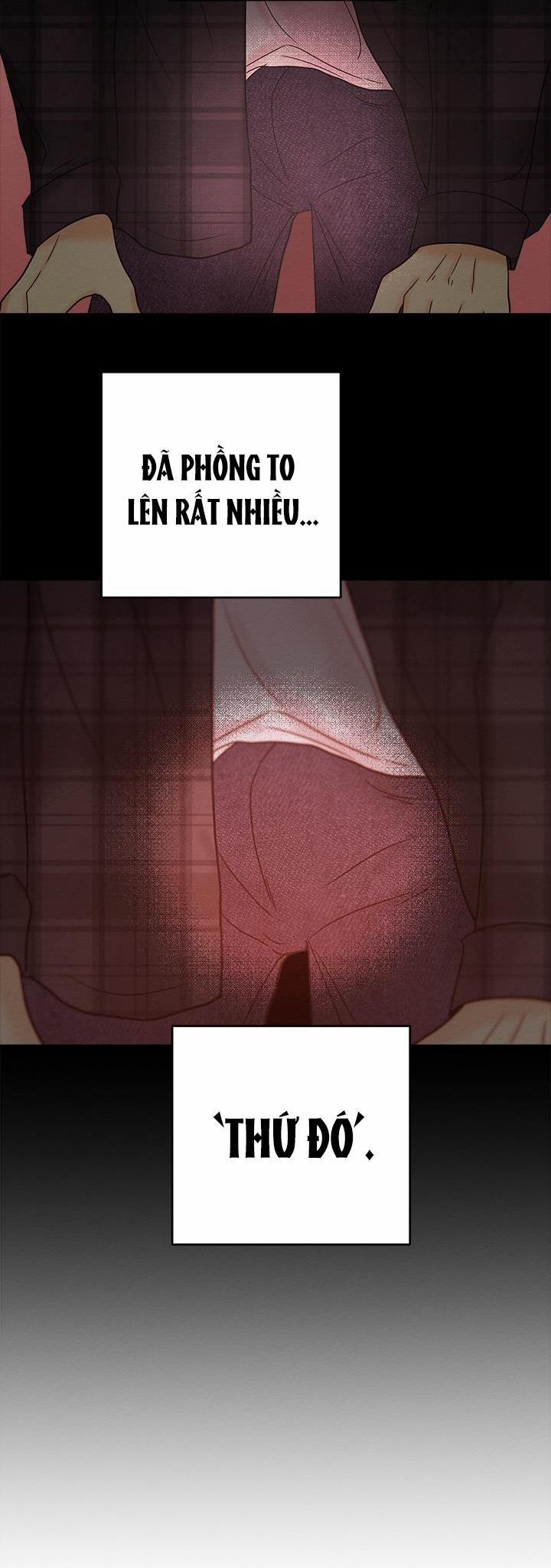 TUYỂN TẬP NHẤT THỤ ĐA CÔNG CỦA NHÀ KIM 29.5 chỉ 1 ngày 5 trang 5