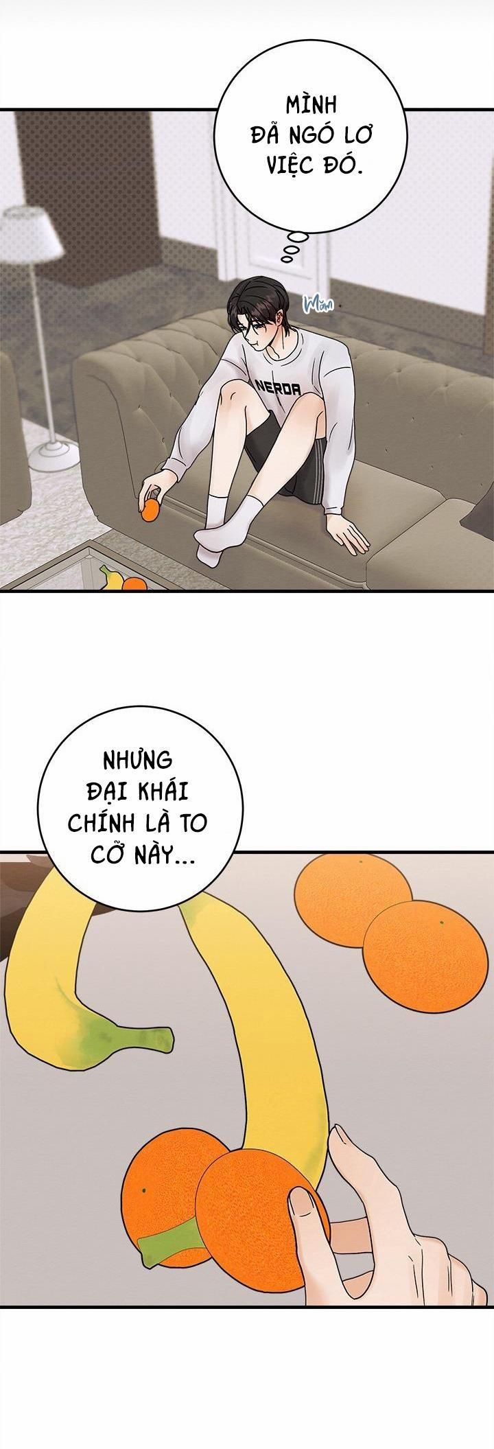 TUYỂN TẬP NHẤT THỤ ĐA CÔNG CỦA NHÀ KIM 29.5 chỉ 1 ngày 5 trang 6