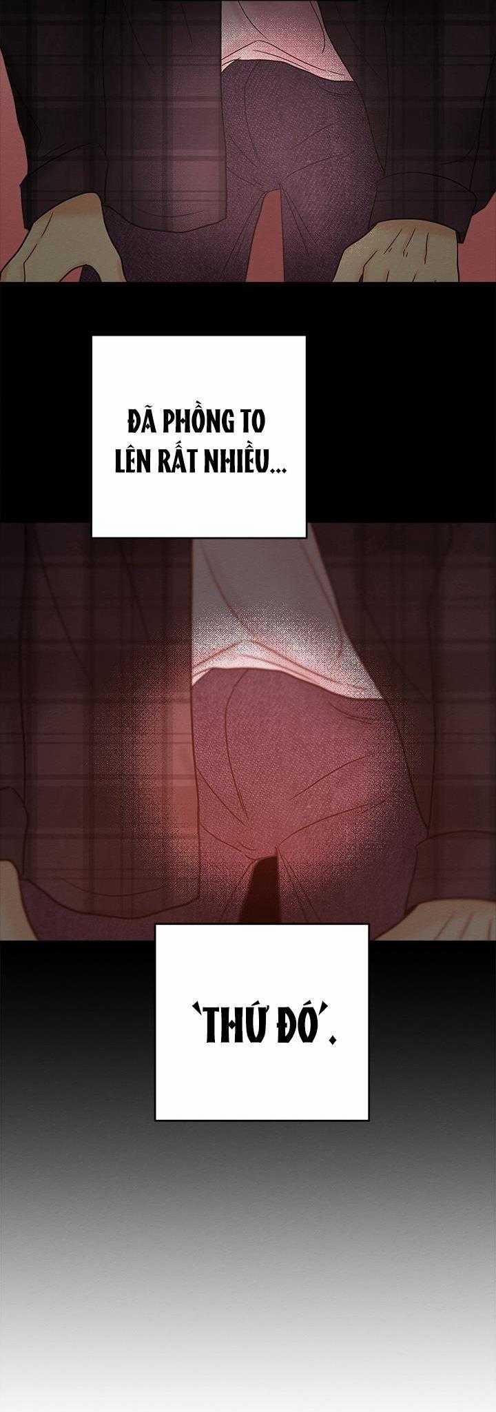 TUYỂN TẬP NHẤT THỤ ĐA CÔNG CỦA NHÀ KIM 29.5 trang 5