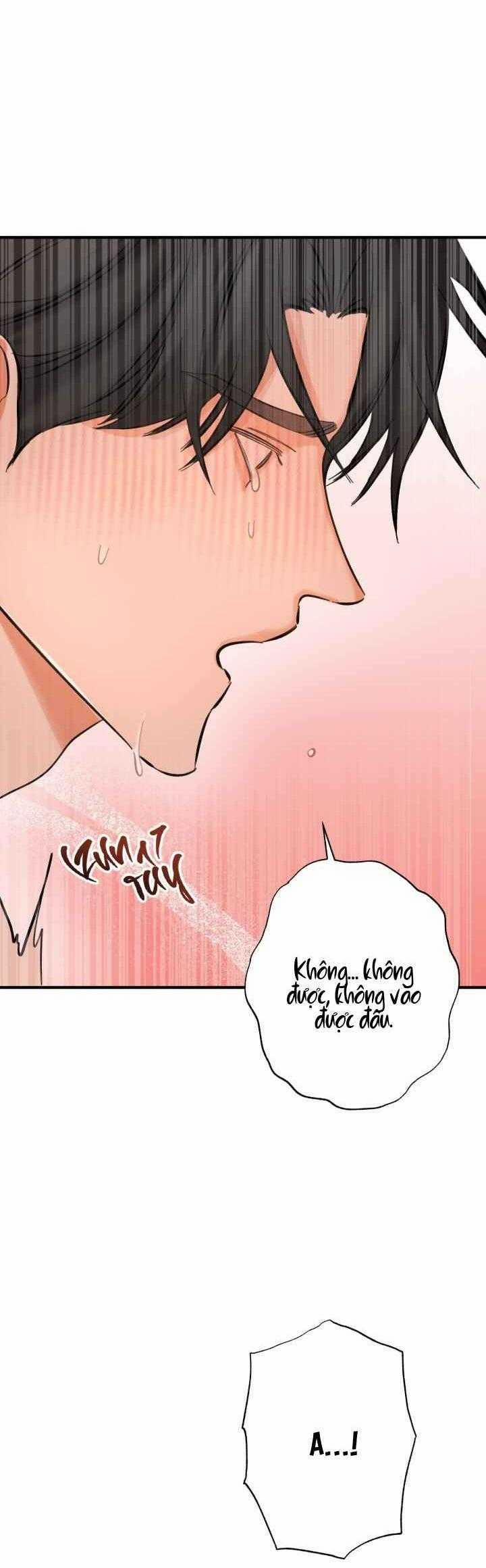 TUYỂN TẬP NHẤT THỤ ĐA CÔNG CỦA NHÀ KIM 32.3 trang 29