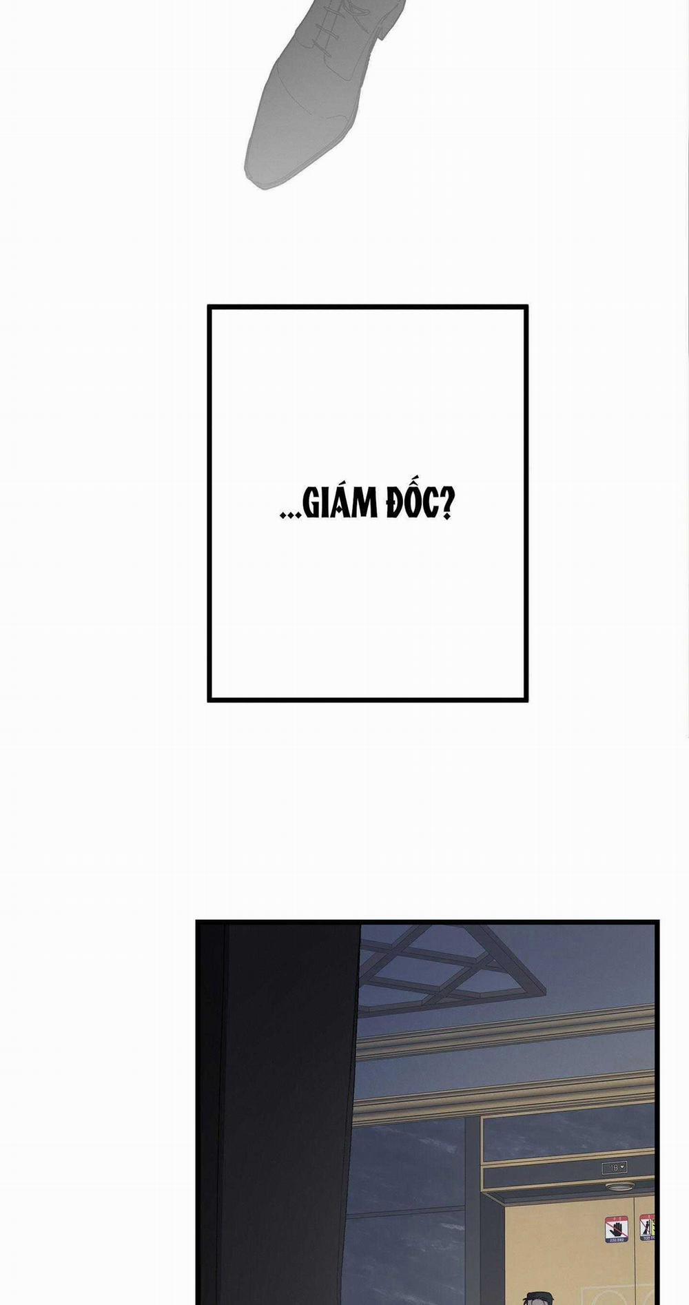 TUYỂN TẬP NHẤT THỤ ĐA CÔNG CỦA NHÀ KIM 33.1 trang 54