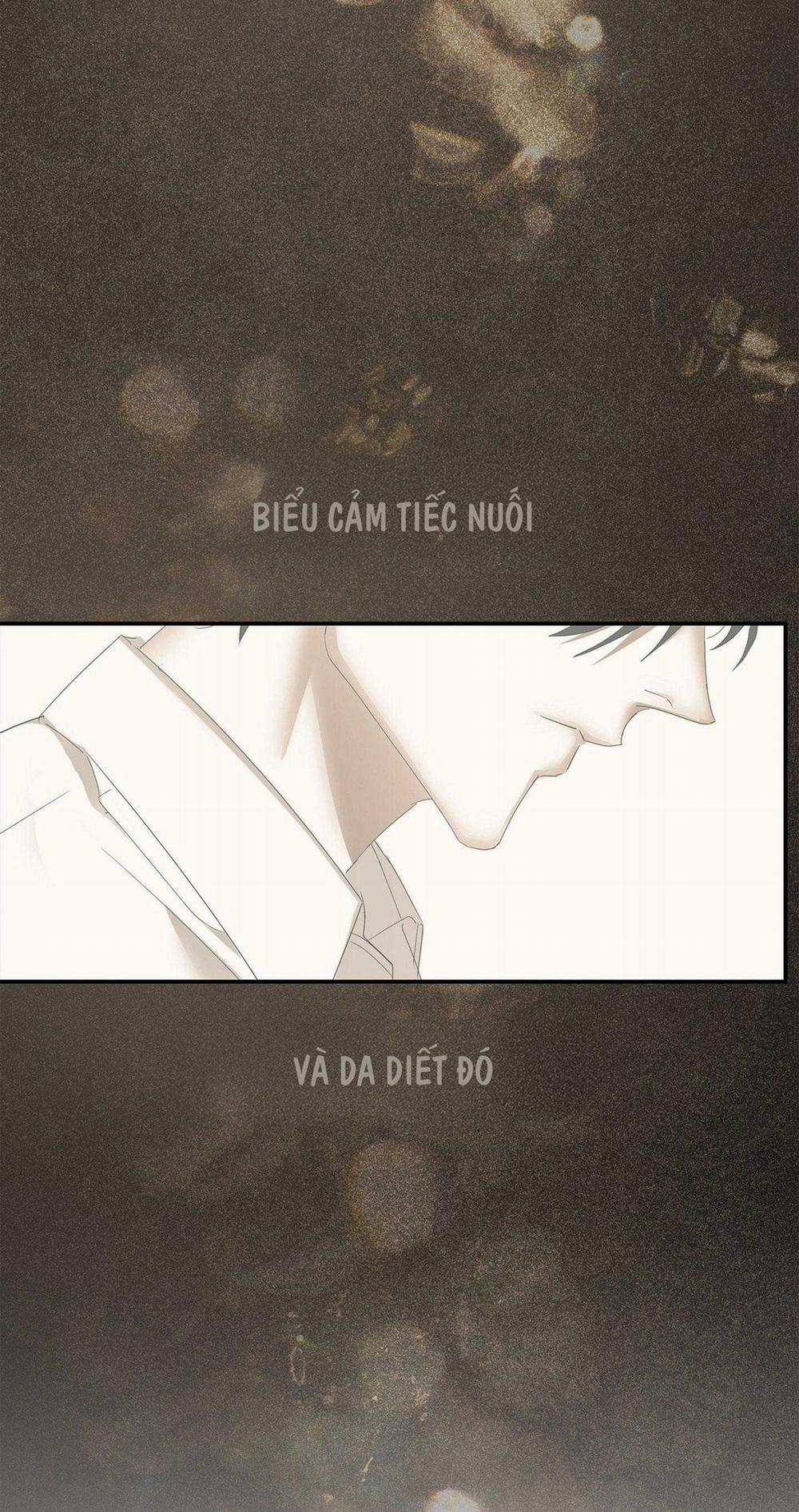 TUYỂN TẬP NHẤT THỤ ĐA CÔNG CỦA NHÀ KIM 33.2 trang 15