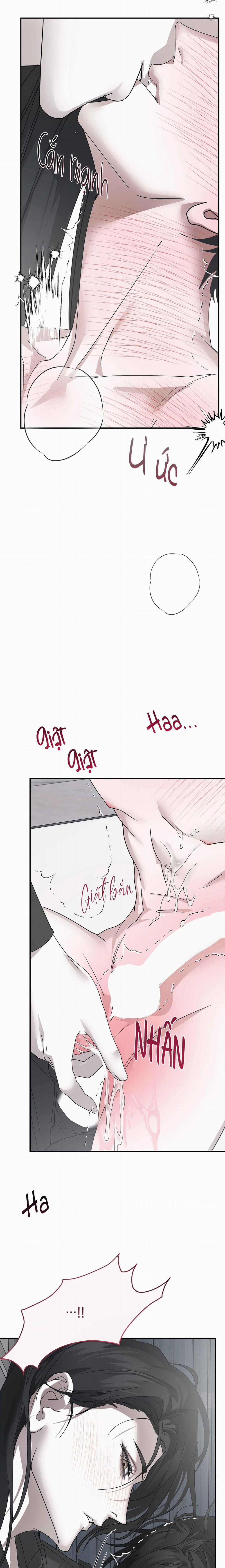 TUYỂN TẬP NHẤT THỤ ĐA CÔNG CỦA NHÀ KIM 33.3 ACT OUT 3 trang 15