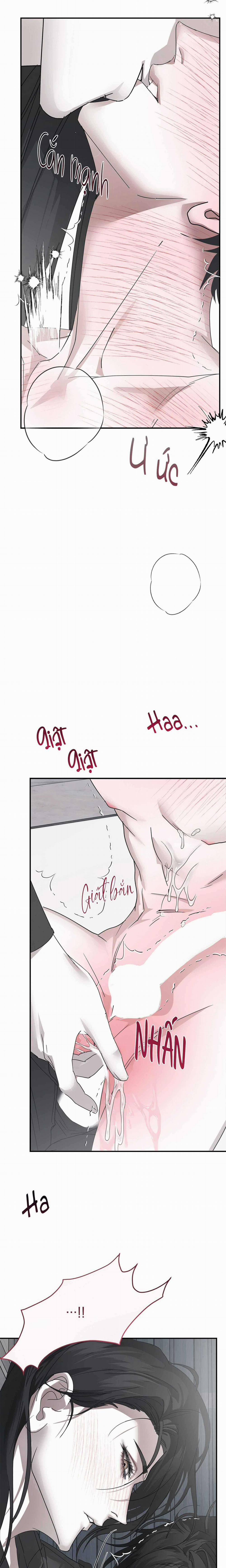 TUYỂN TẬP NHẤT THỤ ĐA CÔNG CỦA NHÀ KIM 33.3 trang 15