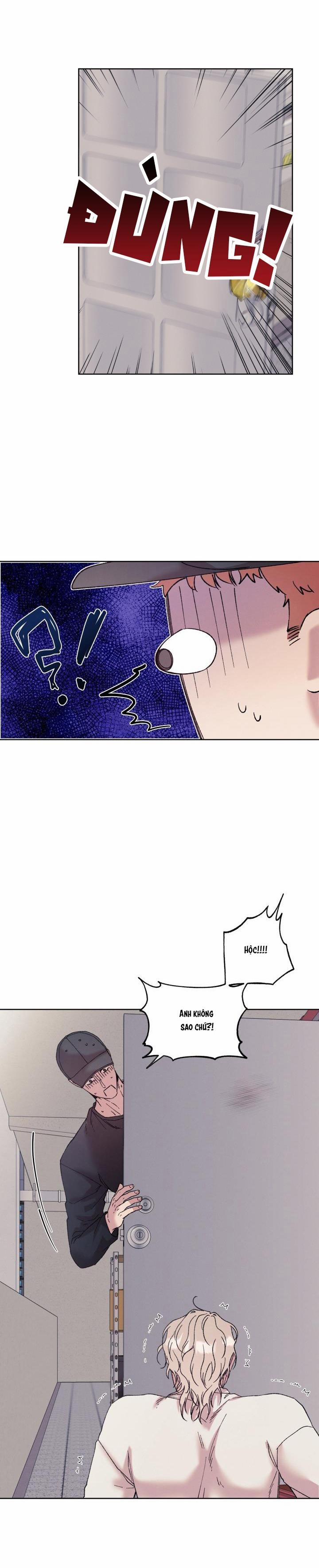 TUYỂN TẬP NHẤT THỤ ĐA CÔNG CỦA NHÀ KIM 34.1 chim 1 trang 5