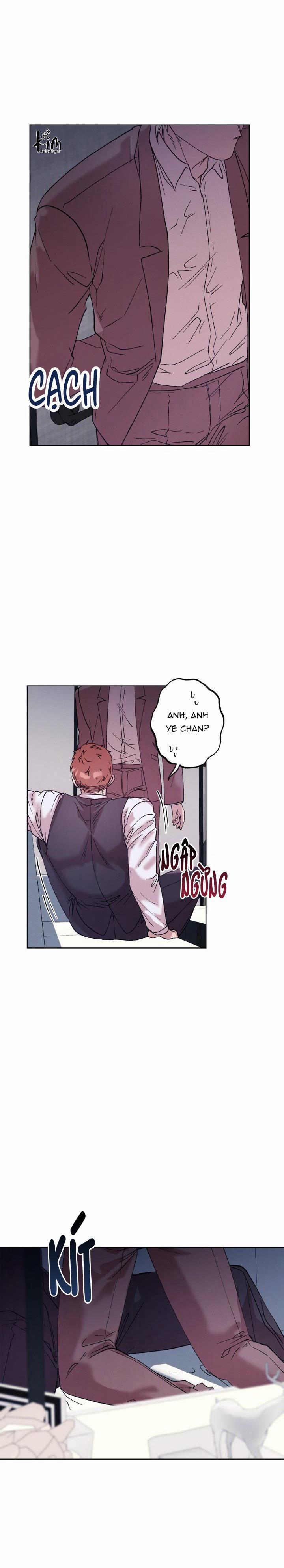 TUYỂN TẬP NHẤT THỤ ĐA CÔNG CỦA NHÀ KIM 34.2 chim 2 trang 17