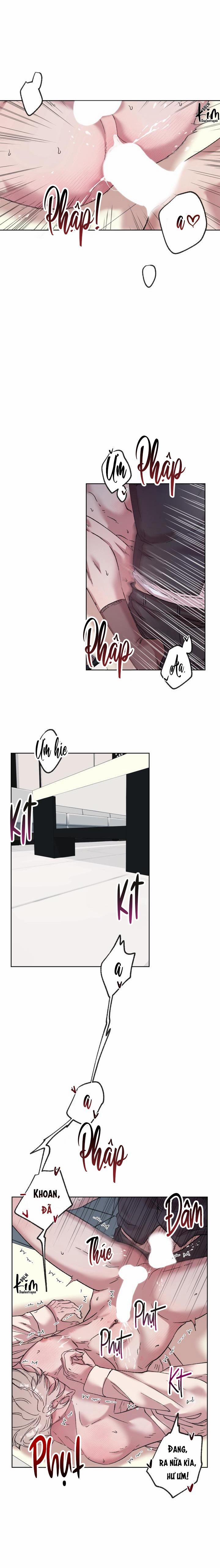 TUYỂN TẬP NHẤT THỤ ĐA CÔNG CỦA NHÀ KIM 34.3 chim 3 trang 17