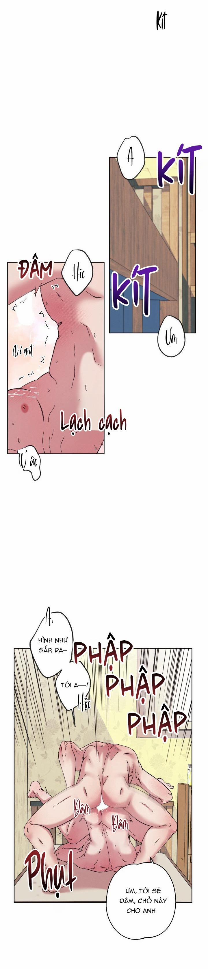 TUYỂN TẬP NHẤT THỤ ĐA CÔNG CỦA NHÀ KIM 34.4 chim 4 trang 5