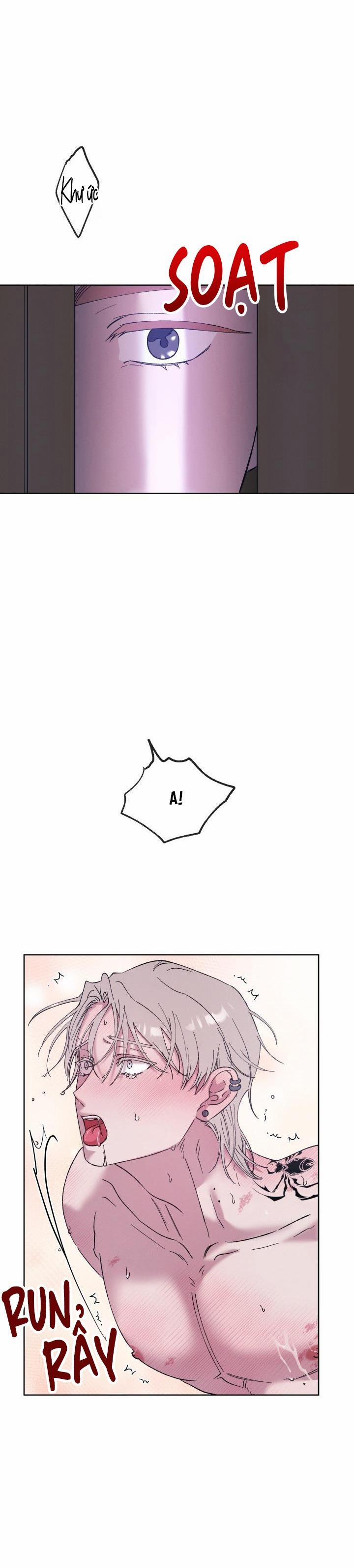 TUYỂN TẬP NHẤT THỤ ĐA CÔNG CỦA NHÀ KIM 34.5 chim 5 trang 5