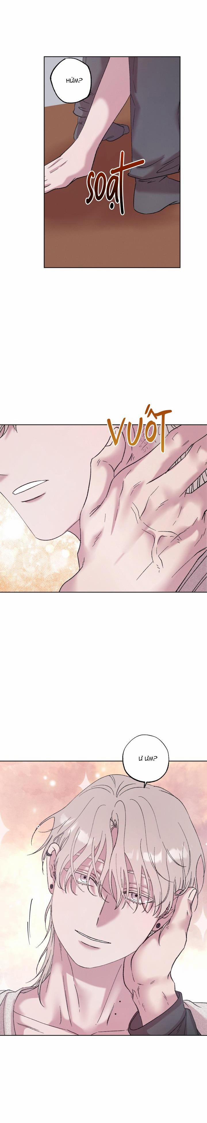 TUYỂN TẬP NHẤT THỤ ĐA CÔNG CỦA NHÀ KIM 34.6 chim 6 trang 11