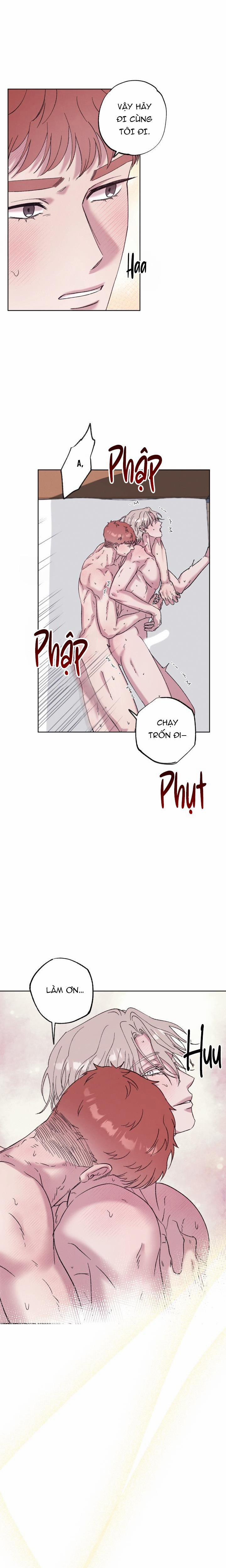 TUYỂN TẬP NHẤT THỤ ĐA CÔNG CỦA NHÀ KIM 34.6 chim 6 trang 16