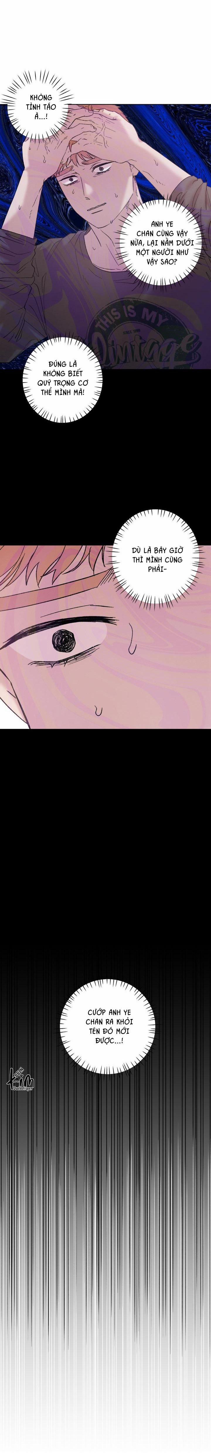 TUYỂN TẬP NHẤT THỤ ĐA CÔNG CỦA NHÀ KIM 34.6 chim 6 trang 8