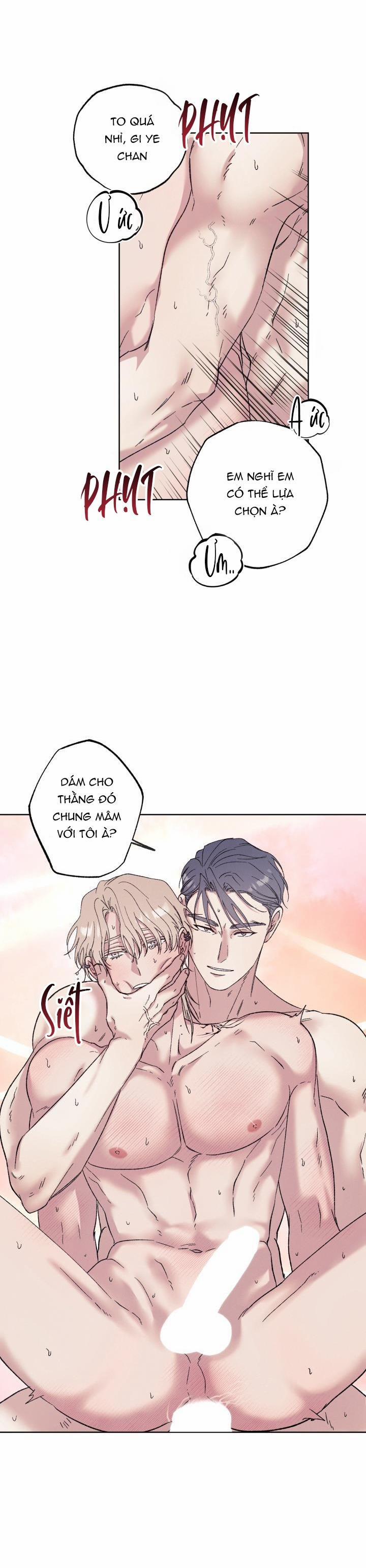 TUYỂN TẬP NHẤT THỤ ĐA CÔNG CỦA NHÀ KIM 34.7 CHIM END trang 10