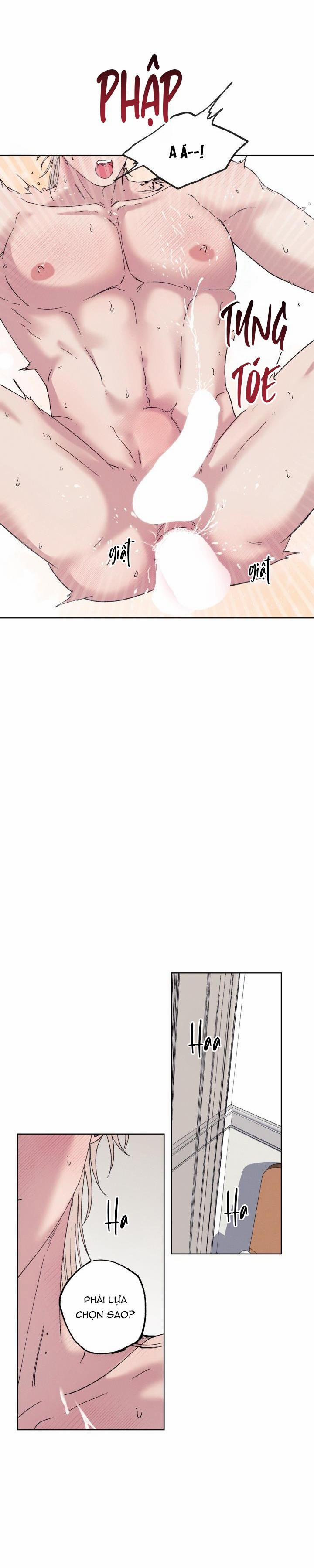 TUYỂN TẬP NHẤT THỤ ĐA CÔNG CỦA NHÀ KIM 34.7 CHIM END trang 21