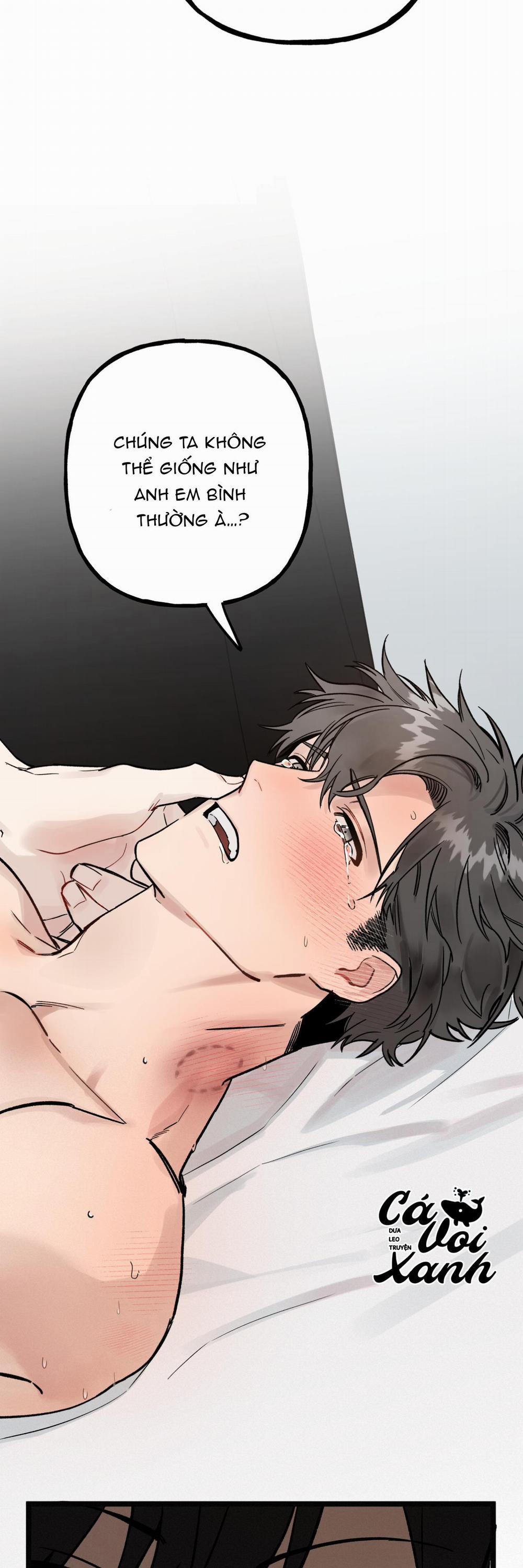 Tuyển tập những bộ truyện ngắn của nhà Cá Voi Xanh 3 trang 35