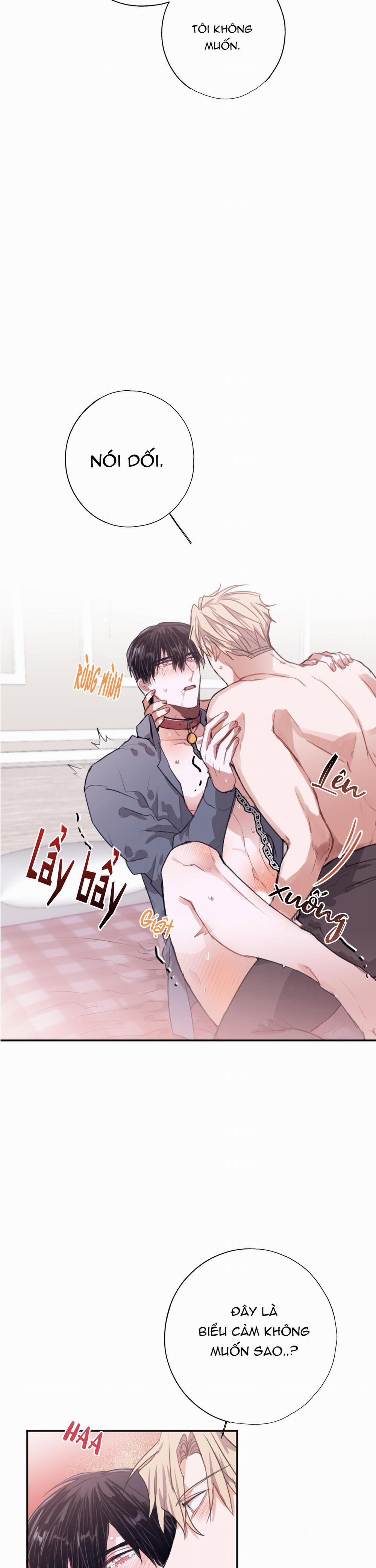 Tuyển Tập Truyện Ngắn Hỏny Của Nhà Sẹc 22 nổi loạn 3 trang 28