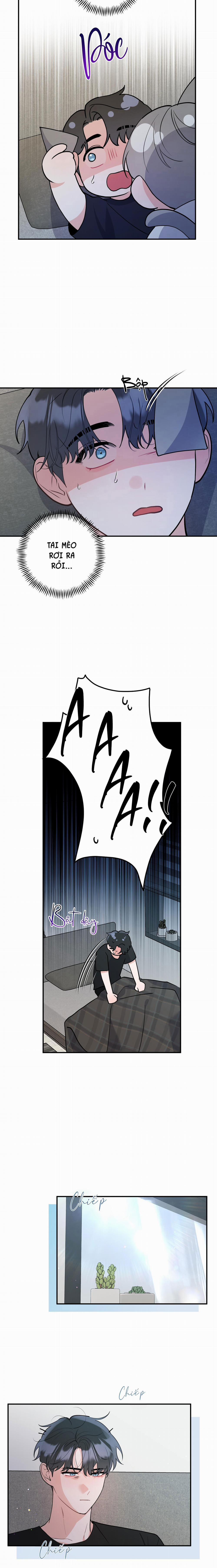 Tuyển Tập Truyện Ngắn Hỏny Của Nhà Sẹc 55 CON MÈO NÀY 1 trang 6