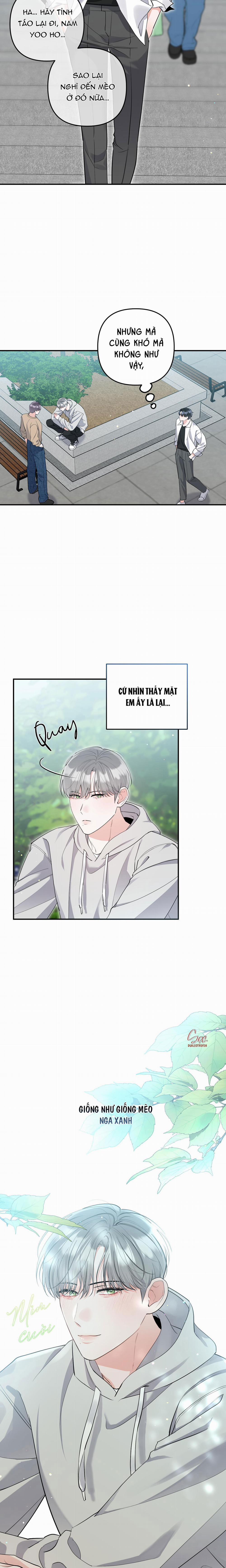 Tuyển Tập Truyện Ngắn Hỏny Của Nhà Sẹc 56 CON MÈO NÀY 2 trang 7