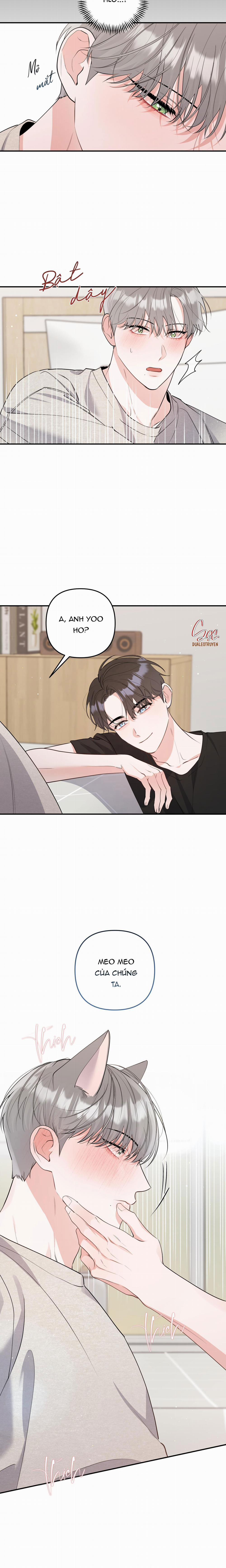 Tuyển Tập Truyện Ngắn Hỏny Của Nhà Sẹc 57 CON MÈO NÀY 3 trang 15