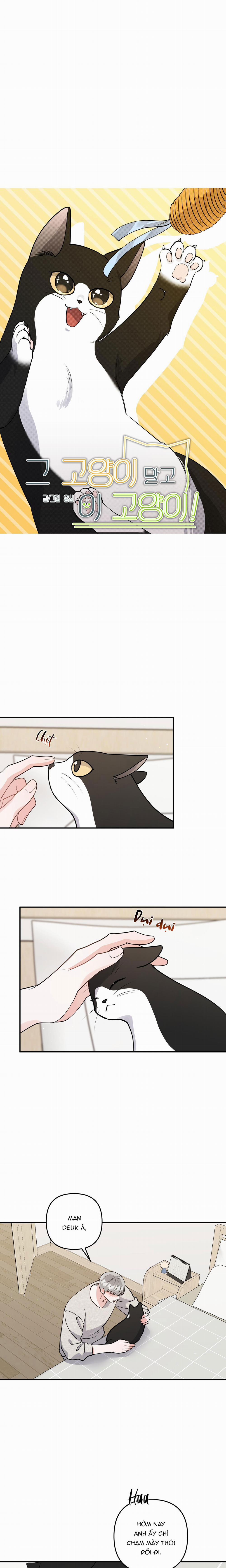 Tuyển Tập Truyện Ngắn Hỏny Của Nhà Sẹc 57 CON MÈO NÀY 3 trang 5